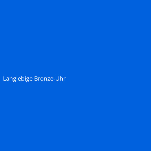 Langlebige Bronze-Uhr