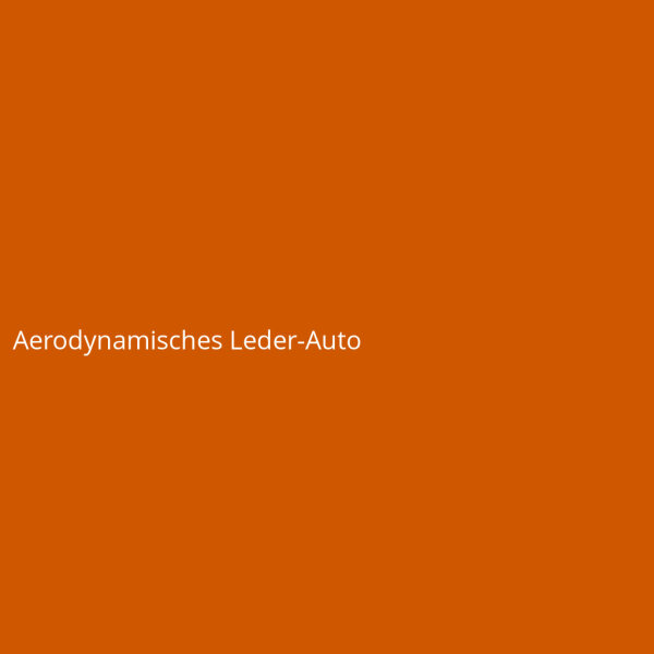 Aerodynamisches Leder-Auto